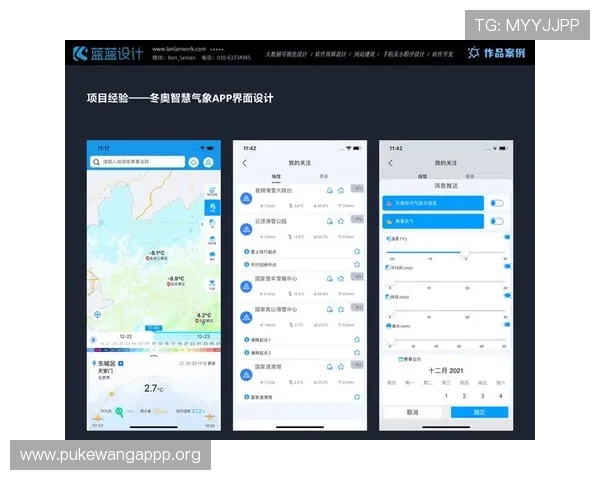 欧博平台登录入口免费版用户体验优化建议与反馈