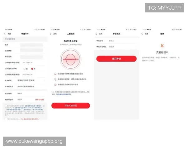 速盈手机版会员登录体验分享与用户评价分析